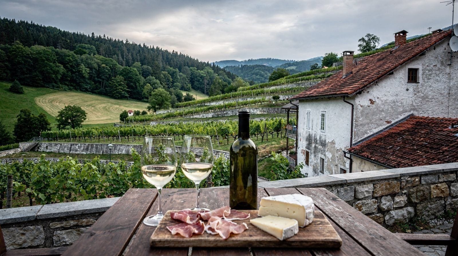 La plus vieille vigne du monde comme attraction touristique