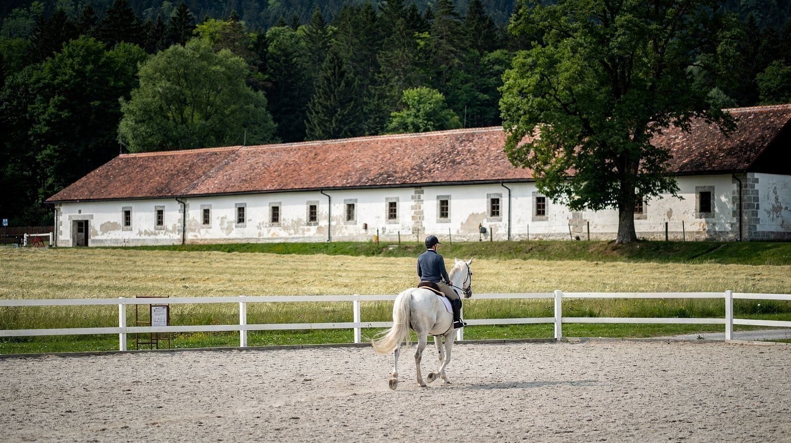 Horse Riding at Lipica