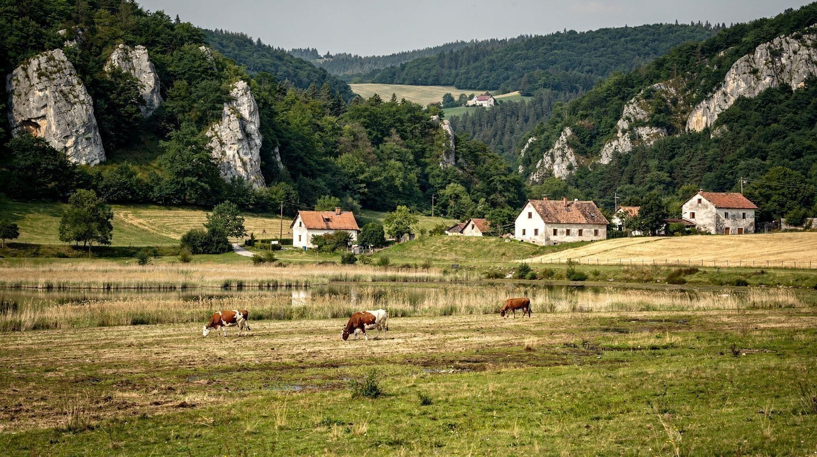Le lac de Cerknica : le lac disparu de Slovénie