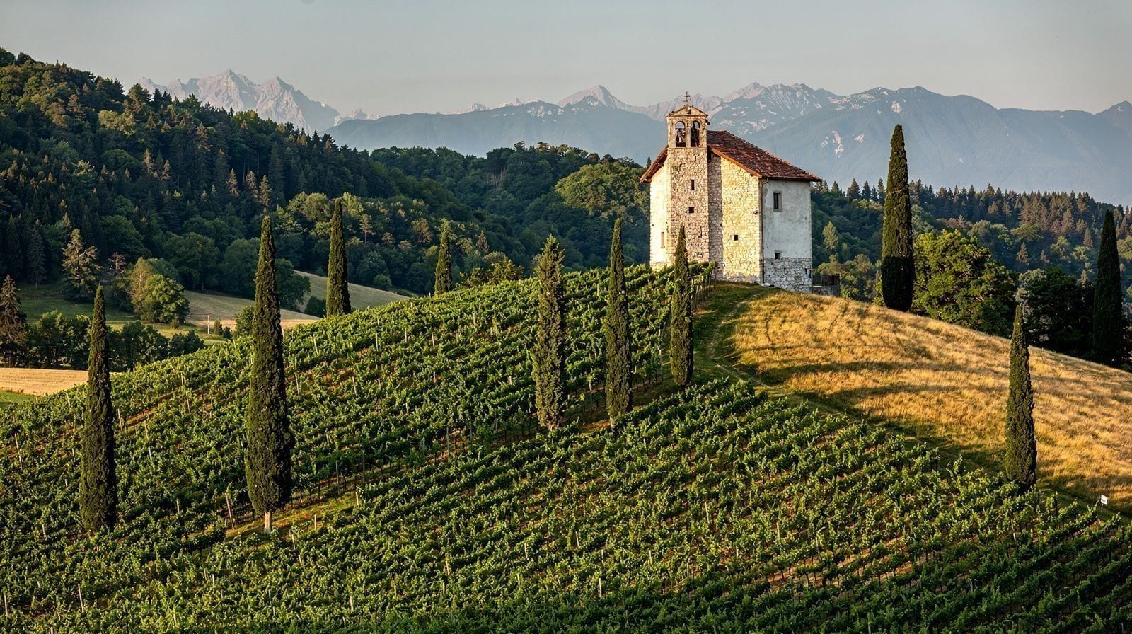 Goriška Brda : les collines viticoles de Slovénie, aux portes de l'Italie