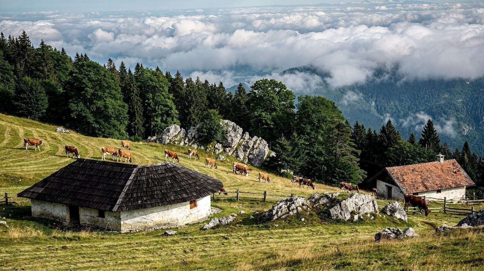 Velika Planina : les alpages déjà payés par la Ljubljana Card