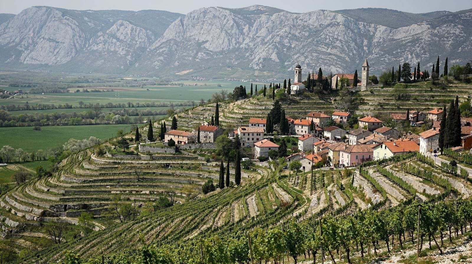 Vallée de la Vipava : le pays viticole slovène des vendanges