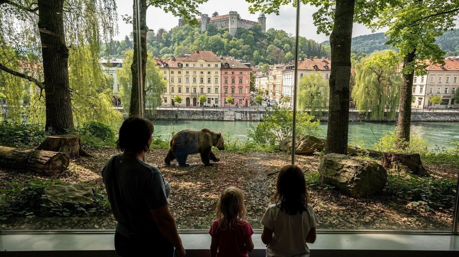 Jardim Zoológico de Ljubljana e o Kavalir: Guia para Famílias