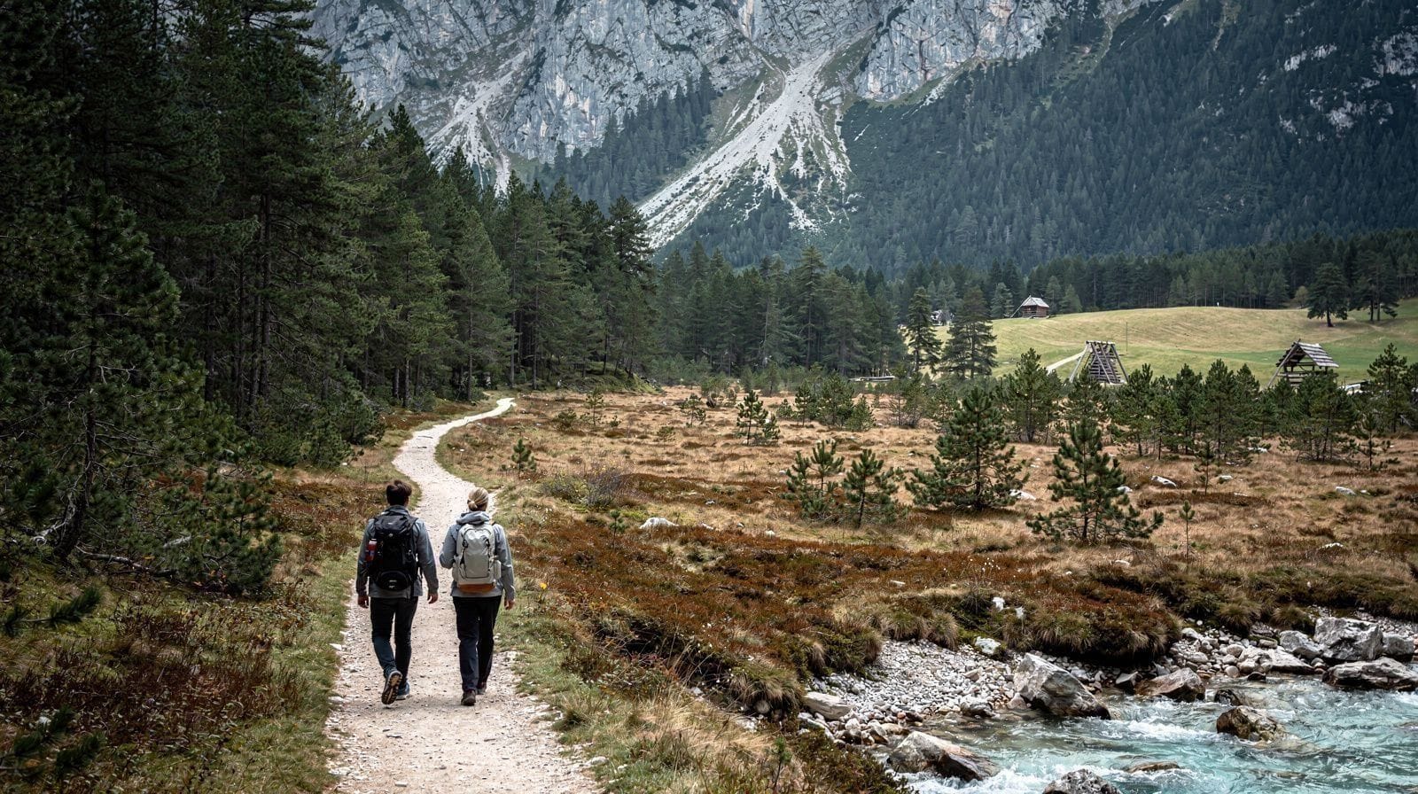 Caminhadas no Planalto de Pokljuka: Turfeiras e Trilhos Florestais