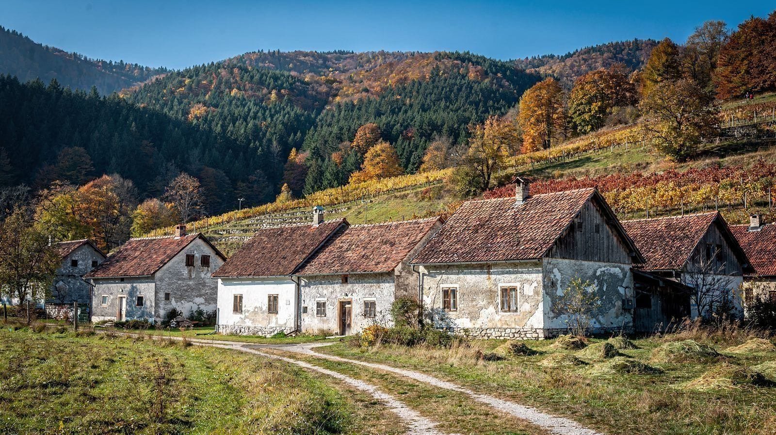 Slovenia in Autumn: The Best Season to Visit