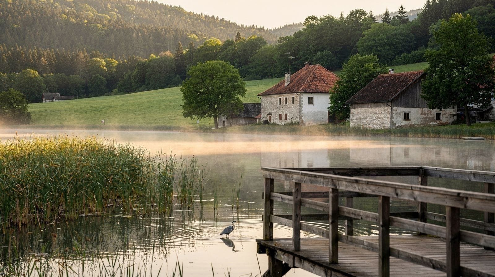 Observação de Vida Selvagem e Natureza na Eslovénia
